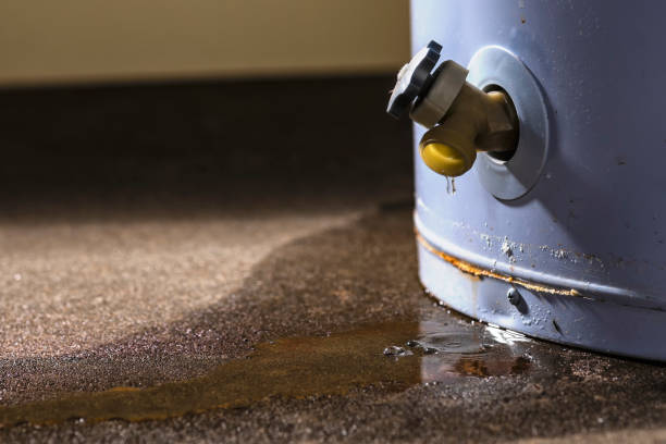 Best Commercial water damage restoration  in Massac, KY