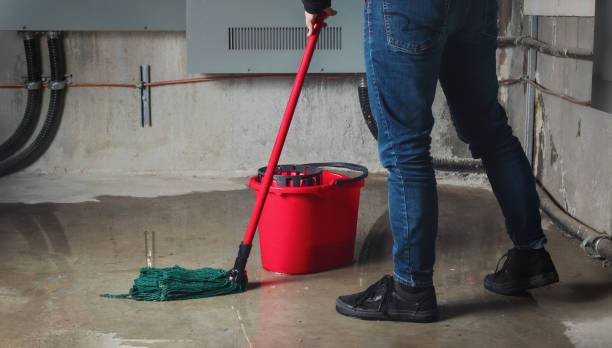 Best Local water damage restoration  in Massac, KY