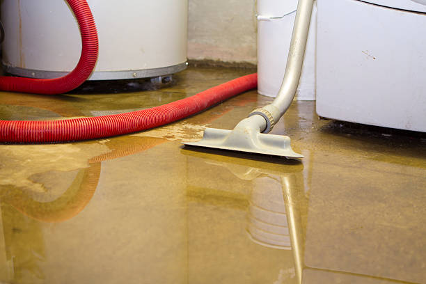 Best 24/7 water damage repair  in Massac, KY