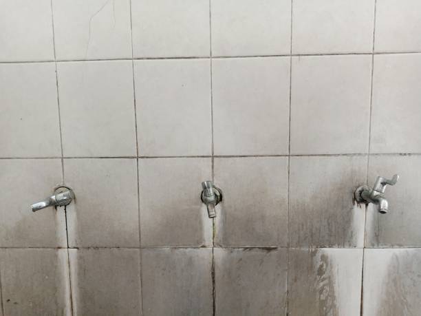 Best Water damage contractors near me  in Massac, KY