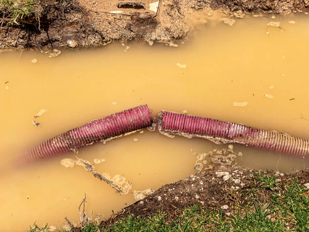 Best Carpet water damage restoration  in Massac, KY