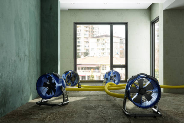 Sewage cleanup and water damage restoration in KY