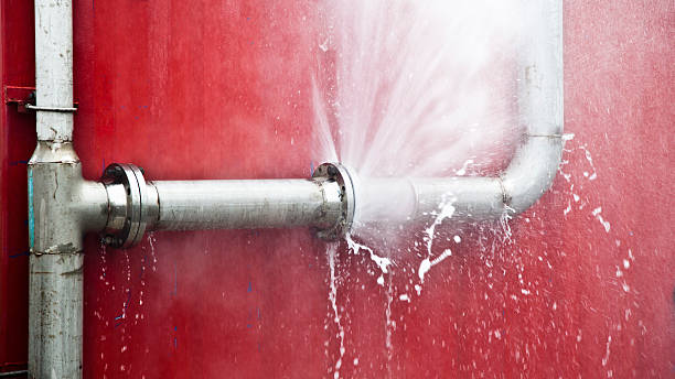 Best Professional water damage repair  in Massac, KY